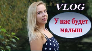 VLOG: У НАС БУДЕТ МАЛЫШ АКИТА-ИНУ! ГОТОВИМСЯ/ УДАЧА в ЛОТЕРЕЕ