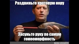 Пространство-время, континуум, жесть, физика, Катющик