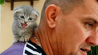 КОТЕНОК АКРОБАТ. НУ НЕ ОТДАВАЙ МЕНЯ!! Приколы про котов с озвучкой Галчата тв