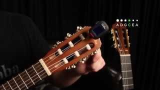 How to Tune Your Guilele