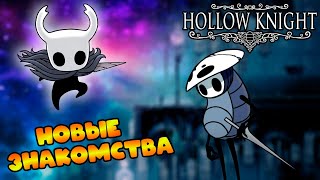 Прохождение Hollow Knight #6: Преодоление препятствий и Туманный каньон
