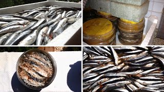 Acciughe Sotto Sale Fatte in Casa