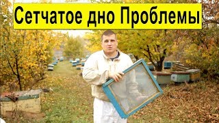 Что случилось с сетчатым дном? Лента для перевозки ульев Отзыв