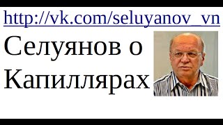 Селуянов о капиллярах и миоглобине