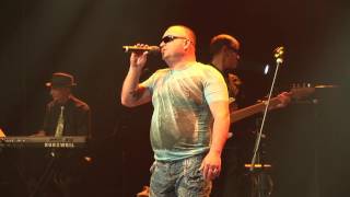 HD. Ося Солнцевский "Бродяга". 2016г.