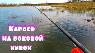 Пошел весенний карась на боковой кивок в камышах!