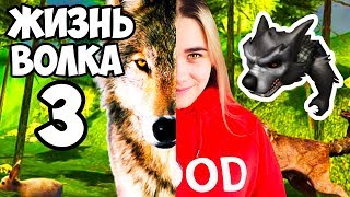 ПРЕВРАТИЛАСЬ В НАСТОЯЩЕГО ВОЛКА! ЖИВУ КАК Злой ВОЛК ОДИН ДЕНЬ В РОБЛОКС! Жизнь ВОЛКА 3 ROBLOX