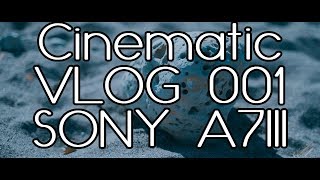 [Cinematic VLOG001]SONY A7III PILOTFLY adventurer
