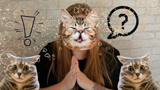 Сотрудничество с издательствами? / Часто задаваемые вопросы