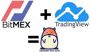 BitMEX hamster-bot quick start guide