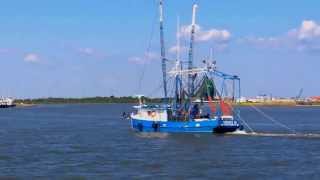 The Gulf Coast At Cameron, Louisiana
