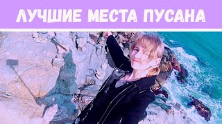 Корея VLOG | Пусан, пляж и храм на обрыве вскружил голову | 부산: 해동용궁사,해운대해수욕장| ToRi MaRtini