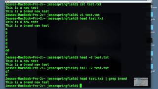 OS X Terminal Commands For Unix & Linux (ls | cd | mkdir | rm | cat | top | ps | find, etc.)