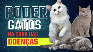 Cristina Cairo O Poder dos Gatos na cura das doenças; COMPLETO! SEM CORTES!