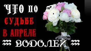 ВОДОЛЕЙ что по СУДЬБЕ в АПРЕЛЕ 2019 года Гороскоп на картах Таро