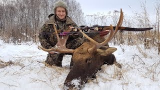 Охота на лося с луком