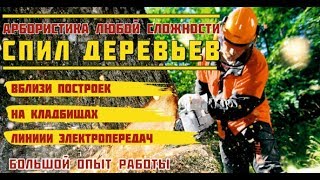Расчистка-очистка уборка участка,спил корчевка,кронирование деревьев