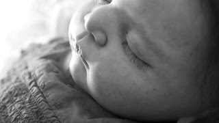 linus gudrun legler
