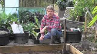 HOW TO GROW PERENNIAL VEGETABLES