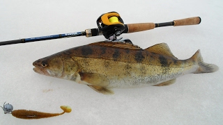 Winter fishing on spinning. DAGGER 702MC и Желто черный китаец. Из грязи в КНЯЗИ обрыблен