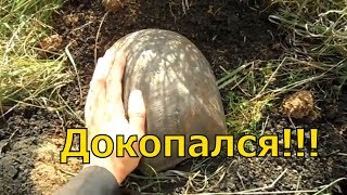 Никак не ожидал он такого вот конца