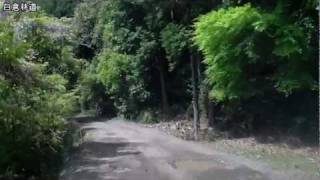 [車載動画] 白倉林道