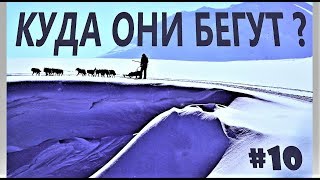ОДНИ В ТАЙГЕ ДВОЕ СУТОК \ КАРАГИНСКИЙ ПЕРЕВАЛ \ БЕРИНГИЯ 2019 \ КАМЧАТКА  #10