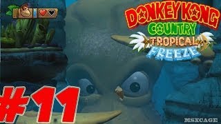 Donkey Kong Country Tropical Freeze  - Walkthrough Part 11   World 4 2/3  HD