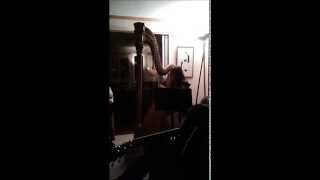 Helen Webby: Handel Harp Concerto in Bb, 1st Movement