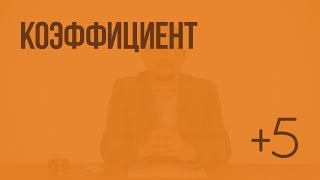 Коэффициент. Видеоурок по математике 6 класс