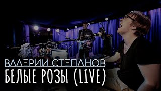 ВАЛЕРИЙ СТЕПАНОВ - БЕЛЫЕ РОЗЫ