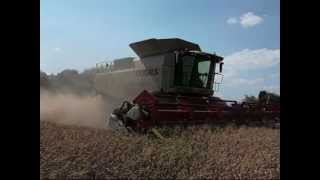 Lexion 600 Lohnunternehmen Krämer