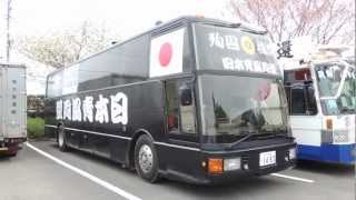 【街宣車】日本青風同盟 エアロクイーンK