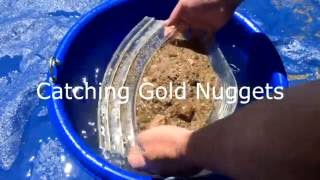 8 sec to GOLD, Gold Claw catching Nuggets