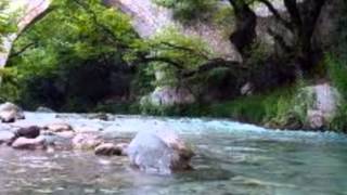 ΑΝΝΑ ΒΥΤΙΝΑΡΟΥ - ΠΑΠΑΛΑΜΠΡΑΙΝΑ
