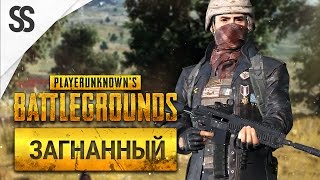 Battlegrounds - Загнанный волк (Соло, 1440p)