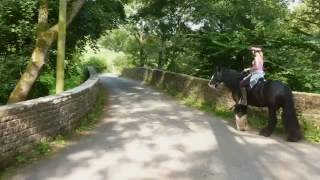 Horse riding around beautiful Sedbergh/Dent in cumbria