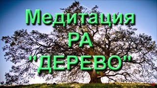 Медитация РА "Дерево" (03.08.18)