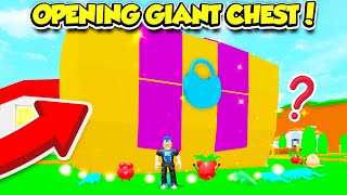 I OPENED The GIANT CHEST In PET TRAINER And GOT THIS... (Roblox)