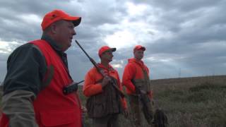 Iowa Pheasant Hunt