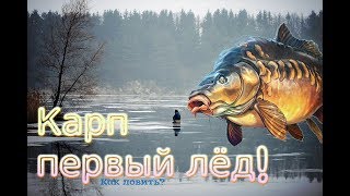 Как ловить карпа по первому льду?