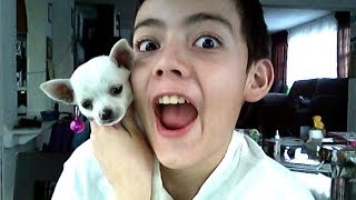 All new madafaka|Happy Wheels|Luis Bambi