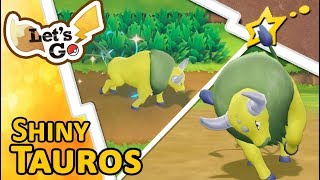 [LIVE!] Shiny Tauros after a 31 Catch Combo on Route 15! (Pokemon LGPE)