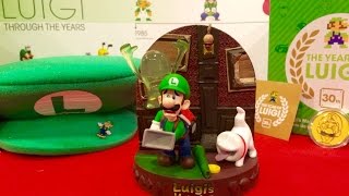 Surprise Luigi Prize Pack Luigi's Mansion Toy Mario Kart Flag Year of Luigi Coin Timeline Poster