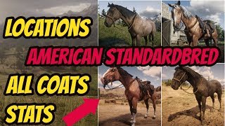 Red Dead Redemption 2 American Standerdbred LOCATION & ALL COATS & STATS  GOOD HORSE GUIDE