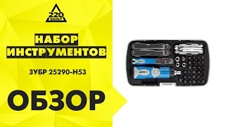 Набор инструментов ЗУБР 25290 H53
