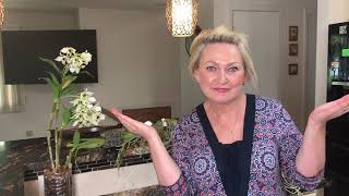 Ура! Посылка с орхидеями! Ванды, ринхостилисы и их гибриды! Орхидеи из Тайланда . Дендробиум Рэмбо.