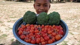 Yummy Cooking Broccoli with Eggs Duck Recipe / Fried Eggs with Broccoli