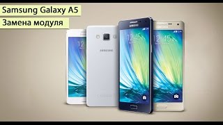 Samsung Galaxy A5 Duos SM-A500 замена модуля дисплея