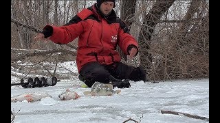 ЭТУ БЕЗМОТЫЛКУ НАДО ЗАПРЕТИТЬ!!!!Раздача окуня, плотвы и леща.Рыбалка 2019 на безмотылку.